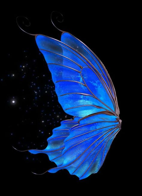 Wings Green Screen, Fairy Video, Fairy Wings Aesthetic, Blue Fairy Wings, 3d Fairy, 3d Videos, Wings Fairy, Green Screen Footage, Moonlight Photography