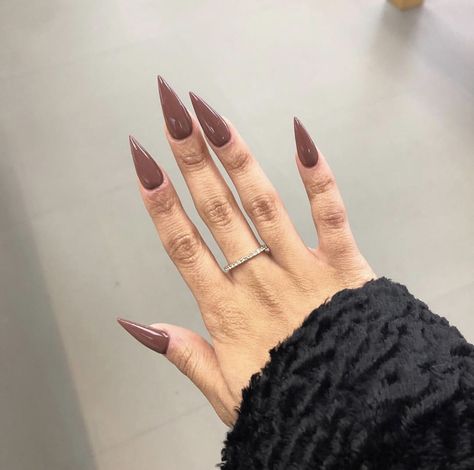 Nude Stilleto Nail Ideas, Pointy Nail Designs, Brown Acrylic Nails, Pointy Nails, Goth Nails, Stiletto Nails Designs, Simple Acrylic Nails, Shiny Nails, Disney Nails