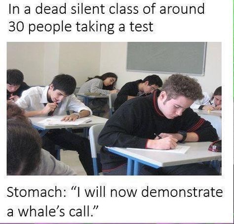 Someone’s stomach is always playing you the song of their people: | 22 Pictures Everyone Who Has Taken A Test Can Relate To Classroom Memes, College Memes, School Memes, Have A Laugh, My Chemical, School Humor, In The Classroom, Look At You, Many People