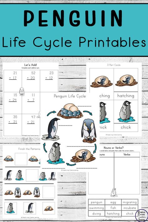 Arctic Animals Printables, Class Book Ideas, Penguin Life Cycle, Life Cycles Preschool, Penguin Facts, Penguin Activities, Life Cycle Craft, Science Printables, Arctic Hare