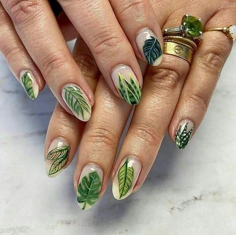 Mr Cacti on Instagram: “. 🌺 Tag @variegatacollection on your photos for feature 🌺 🔔send a direct message to @we.love.our.plants to advertise for +940k plant lover…” Mom Manicure, Plant Nails, Planning List, Mom Things, Style Nails, Floral Nail Designs, Floral Nail, Nail Style, Nail Beauty