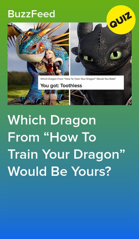 Which Dragon From “How To Train Your Dragon” Would Be Yours? Httyd Quizzes, How To Train Your Dragon Dragons Types, Httyd Quiz, How To Train Your Dragon Funny, How To Train Your Dragon Toothless, How To Train Your Dragon Dragons, Httyd Night Fury, Buzz Quiz, Httyd Funny