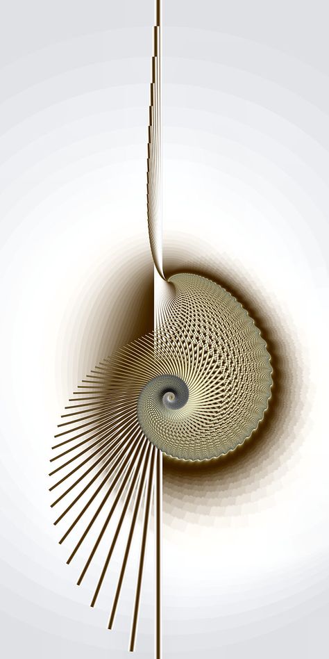 Asymmetrical Balance, Fibonacci Spiral, Sacred Geometry Art, Soyut Sanat Tabloları, Fractal Design, Math Art, Geometry Art, Patterns In Nature, Op Art