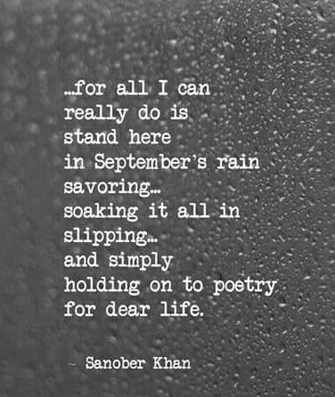 ....September rain September Rain Quotes, September Rain, Mind Blowing Quotes, August Quotes, Relatable Quote, Thanksgiving Tree, Rain Quotes, Quote Pictures, Inspirational Quotes From Books