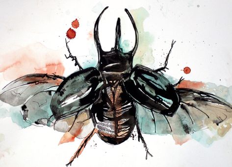 How to paint insects in line and wash with Liz Chaderton Watercolor Insects Illustrations, Watercolour Insects, Insects Drawings, Liz Chaderton, Insect Artwork, Insect Project, Insect Art Projects, Insects Painting, Watercolour Nature