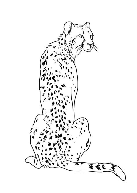 cheetah Cheetah Line Art, Cheetah Drawing Sketches, Cheetah Drawing Easy, Cheetah Outline, Cheetah Sketch, Leopard Sketch, Cheetah Painting, Cheetah Drawing, Art Markers Drawing