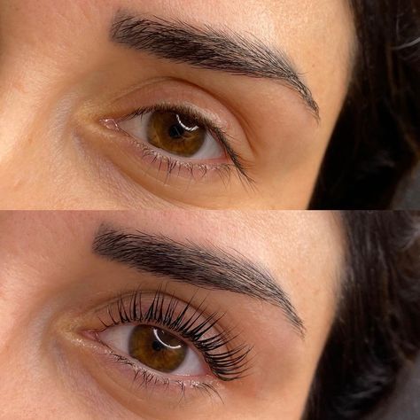 Tinted Lashes, Eye Lash Lift, Eyebrows Lift, Lash Lift Before And After, Lift And Tint Eyelashes, Eyelashes Lift And Tint, Lash Lifting, Eye Lashes, Lash Lift Aesthetic Photo