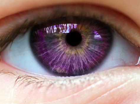 I got: Purple Eyes! What Should Your Fantasy Eye Color Really Be? Violet Eyes Natural, Fantasy Eye Color, Lilac Eye, Eye Center, Crazy Facts, Boys Stripes, Eye Photography, Random Facts, Aesthetic Eyes