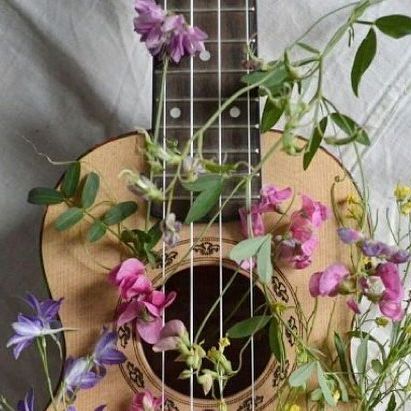 Aesthetic Guitar, Dark Spring, Spring Music, Hippie Quotes, Outfit 2020, Guitar Photos, Castle Aesthetic, Aesthetic Spring, Mood And Tone