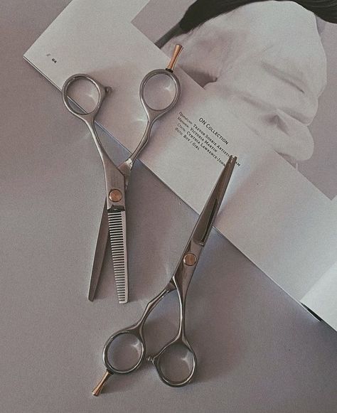 Hair Salon Pictures, Hairstylist Branding, Shooting Studio, Salon Pictures, Instagram Branding Design, Hair Scissors, Work Hairstyles, Hair Shows, Hair Blog