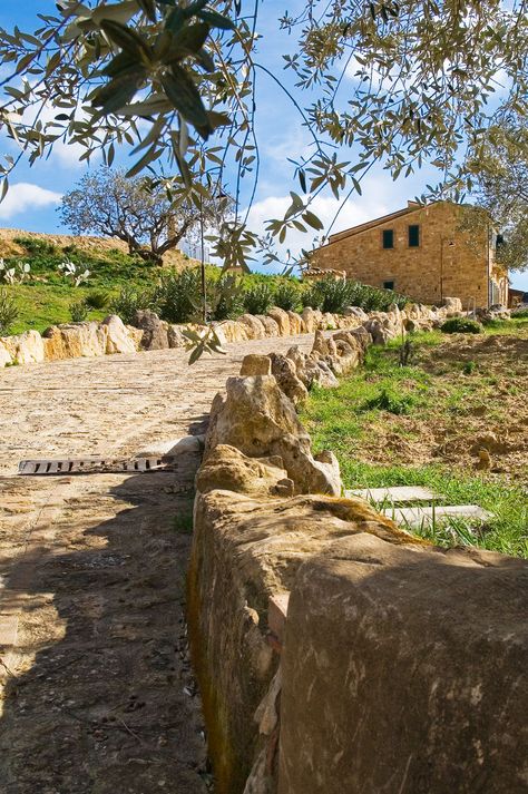 The Sicilian countryside surrounding the Farmhouse Salemi. Sicilian House Architecture, Sicily Countryside, Lilia Calderu, Sicilian Countryside, Country Photography, Italy Trip, The Farmhouse, Outdoor Design, Adele