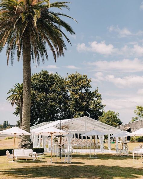 Clear Marquee & Furniture Hire on Instagram: “< Amy + Rob’s day ~ over 200 guests under one of our biggest Clear Marquees. Sometimes I wish I was a guest at the weddings we help create…” Cocktail Engagement Party, Twelve Tables, Best Destination Wedding Locations, Cocktail Wedding Reception, Getting Married Abroad, Wedding Furniture, Outdoor Wedding Inspiration, I Wish I Was, Destination Wedding Locations