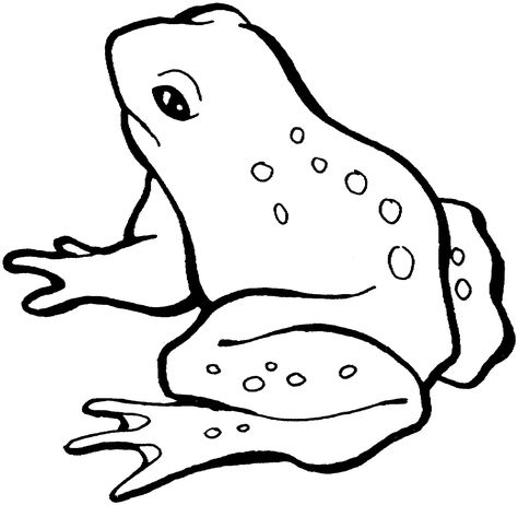 Frogs Coloring Page Frog Coloring, Penguin Coloring Pages, Elephant Coloring Page, Frog Coloring Pages, Scooby Snacks, Frog Drawing, French Immersion, Dog Coloring Page, Adult Coloring Book Pages