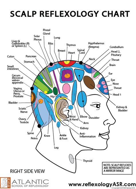 Human Body Pressure Points, Scalp Pressure Points, Facial Reflexology Chart, Face Reflexology Chart, Reflexology Pressure Points, Healing Reflexology, Ear Reflexology, Hand Reflexology, Massage Therapy Techniques