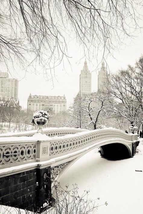 Photo New York, Voyage New York, Winter Szenen, Greenwich Village, Winter Wonder, A Bridge, Pretty Places, City Art, Winter Scenes