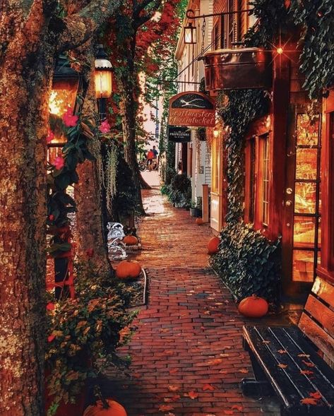 Salem Massachusetts Travel, Massachusetts Aesthetic, Massachusetts Travel, New England Fall, Autumn Magic, Japon Illustration, Autumn Scenes, Autumn Scenery, Fall Travel