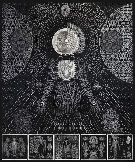 Daniel Martin Diaz, Universal Consciousness, Pen Art Drawings, Hieronymus Bosch, Weird Images, Cosmic Horror, Hand Drawn Pattern, Tour Posters, Tucson Az