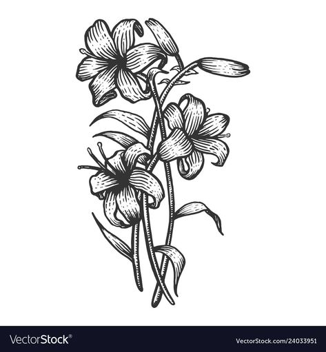 Woodcut Flower, Block Printing Designs, Flower Engraving, Engraving Tattoo, Medieval Artwork, Engraved Flower, Lily Tattoo, Flower Sketches, Wood Burning Art