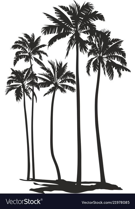 Coconut Tree Vector Illustration, Palm Tree Vector Illustration, Coconut Tree Silhouette, Palmtrees Illustration, Coconut Tree Illustration, Palms Illustration, Palm Trees Illustration, Palm Tree Outline, Coconut Tree Drawing