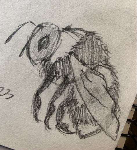 #sketch #reference #drawing #bee #bug #aethstetic #color #honey Bee Drawing Reference, Bug Aethstetic, Bugs Drawing Sketches, Fluffy Bee, Mituna Captor, Bee Sketch, Bugs Drawing, Sketch Reference, Random Sketches