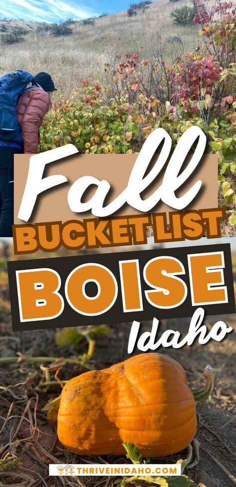 Are you planning an Idaho travel in the fall and wondering what to put in your fall bucket list this year as you visit Boise Idaho? We've got you covered! There are so many cool things to do in Boise in the fall that deserve a spot on your fall bucket list. Join a Boise Halloween party, visit pumpkin patches in Boise, go to Haunted World or shop at Boise Farmers' Market! Your fall bucket list with families in Boise is sure to have so many unforgettable things to do this season! Explore Idaho, Idaho Vacation, Idaho Travel, Cool Things To Do, Pumpkin Patches, Fall Bucket List, Idaho Falls, Boise Idaho, Cool Things