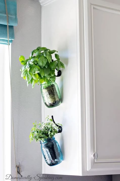 Kitchen Window Herb Garden, Garden In Kitchen, Jar Herb Garden, Hanging Herb Gardens, Vertical Herb Gardens, Green Mason Jars, Window Herb Garden, Mason Jar Herbs, Mason Jar Herb Garden