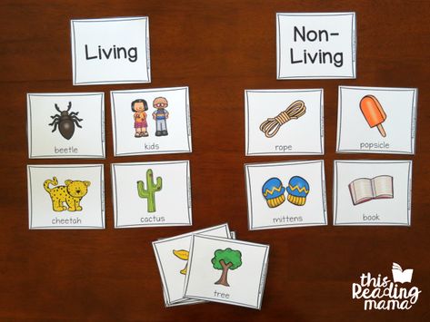 sorting picture cards as living vs non-living Living Vs Nonliving Preschool, Living Vs Nonliving Kindergarten, Science Pictures, Plants Kindergarten, Living And Nonliving, Kindergarten Units, Fun Worksheets For Kids, Social Studies Education, Plants Unit