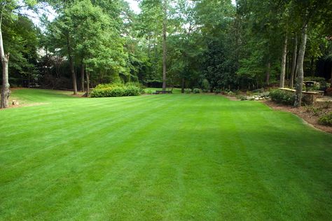 Landscaping Large Properties, Big Grass Backyard, Large Grass Backyard, Green Giant Landscaping, Big Grass Field, Acreage Landscaping, Farm Landscaping, Castle Exterior, Large Backyard Landscaping