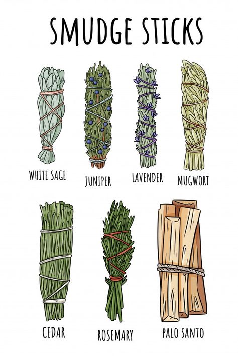 Sage smudge sticks hand-drawn set. herb ... | Premium Vector #Freepik #vector #hand #summer #leaf #medical Herb Bundles, Sage Smudge Sticks, Witch Tools, Sage Smudge, Smudge Sticks, White Sage, Drawing Set, Book Of Shadows, Planner Stickers