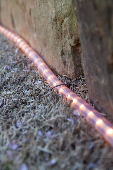 looks like a snake but it is actually a rope light border on the stone wall - nice idea for my back yard fenceline Rope Light Pathway, Outdoor Rope Lighting Ideas, Rope Lighting Ideas Outdoor, Garden Light Ideas, Rope Lighting Ideas, Landscape Lighting Ideas Walkways, Rope Lights Outdoor, Backyard Christmas, Outdoor Rope Lights