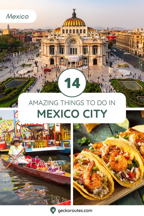 Mexico City is an extraordinary city. Whatever your interests are, there’s an activity or community for you. Many people only spend a few days in Mexico City, but there are so many amazing things to do here that you could stay for well over a week and not even begin to get bored. Tap this pin to discover 14 of the best things to do in Mexico City! Visit Mexico City, Places To Visit In Mexico City, 3 Days In Mexico City, City Of Mexico, Best Places To Eat In Mexico City, Mexico City Activities, Shopping Mexico City, Day Trips From Mexico City, Mexico City Trip