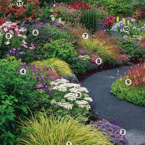 Zone 7 Front Yard Landscaping, Four Season Flower Bed, Four Season Landscape Ideas, Year Round Landscape Ideas, 3 Season Garden Plan, Northwest Garden Ideas Landscape Design, Landscape Design Full Sun, Washington Landscaping Ideas, 3 Season Flower Bed Plan