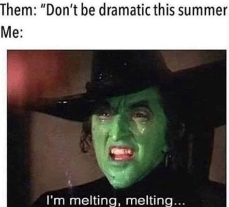 dont be dramatic this summer - me i'm melting - funny hot weather humor Humour, Melting Meme, Sweating Meme, Heat Quotes, Hot Weather Humor, Weather Memes, Hate Summer, Weather Quotes, Wicked Witch Of The West