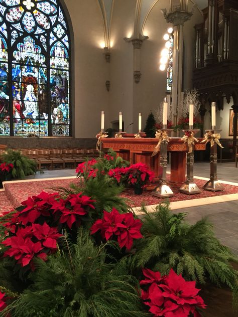 Christmas Alter Churches Decorated For Christmas, Christmas Church Decorations Sanctuary, Christmas Decorations For Church, Church Christmas Decorations Sanctuary, Christmas Altar, Advent Church Decorations, Sanctuary Decor, Church Sanctuary, Christmas Greens