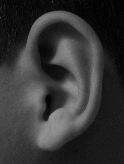 Ringing in the ears happens to most of us every once in awhile. However, for more than 16 million people living with tinnitus, that ringing happens Bod References, Draw Ear, Ear Shapes, Anatomical Art, Black And White Photography Portraits, How To Draw Ears, Human Ear, 얼굴 그리기, Human Reference