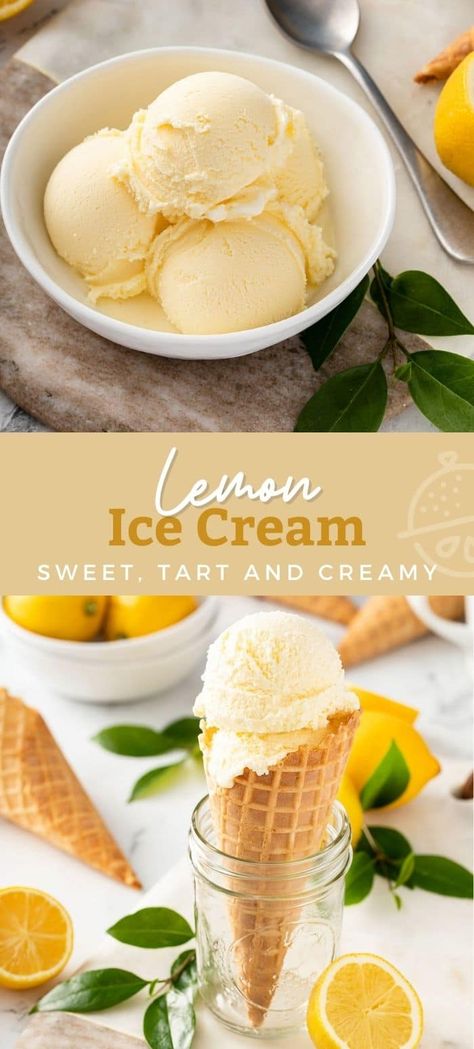 This Lemon Ice Cream recipe has the perfect combination of sweet and tart flavor with a super creamy texture. Light and refreshing this homemade ice cream is made with fresh lemon juice and zest in an ice cream maker. #lemonblossoms #homemadeicecream #LemonWeek #dessert Effortless Lemon Ice Cream, Homemade Lemon Ice Cream Recipes, I’ve Cream Machine Recipe, Lemon Cheesecake Ice Cream, Cuisinart Ice Cream Recipe, Ice Cream Recipes For Cuisinart, Lemon Sorbet Recipe Ice Cream Maker, Homemade Ice Cream With Pudding, Lemon Ice Cream Ninja Creami