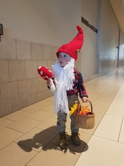 Gnome Costume Kids, Toddler Gnome Costume, Garden Gnome Costume, Baby Gnome Costume, Garden Gnomes Costume, Boys Garden, Toddler Garden, Girls Sewing Projects, Halloween Classroom Decorations