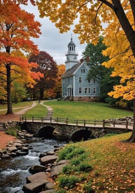 Fall In Massachusetts Aesthetic, Autumn In Massachusetts, Chestnut Hill Massachusetts, Fall In Boston Aesthetic, Massatuchets State, Boston Massachusetts Aesthetic Fall, New England College Aesthetic, Boston Aesthetic Fall, Boston Massachusetts Things To Do In