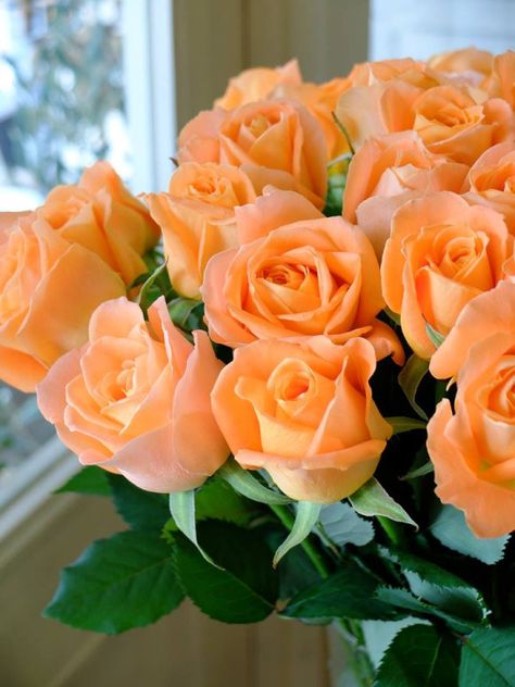 Source:  www.unconditonedconsciousness.tumblr.com Beautiful flowers Orange Roses, Roses, Vase, Orange