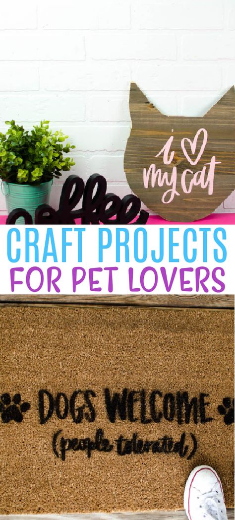 Fun Craft Projects, Dogs Diy Projects, Cat Patio, Dog Crafts, Love Your Pet, Crafts To Make And Sell, Dog Items, Animal Projects, Cat Crafts