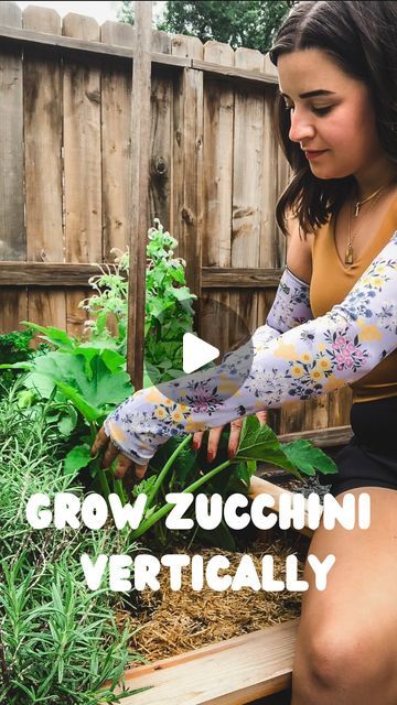 Sara Tracy, Gardener | On A Garden Kick on Instagram: "A real space saver in the garden! 🙌   Wearing my sleeves from @farmersdefense helped keep my arms protected while setting up this zucchini plant to grow vertically. 🤗   Zucchini plants can make your arms itchy and their spikes can scratch so before doing this I’d definitely recommend grabbing a pair of these sleeves. 🫶🏼  There are lots of benefits to growing zucchini vertically—it saves space, creates better airflow, makes pest checks easier, and allows for easier harvesting. I also think it looks really cool. 😆  You don’t need a lot to do this—I’m using a wooden tomato stake and stretchy garden ties to secure the plant to the stake. Remove anything from the main stem below the first flower and secure the plant then you’re good to Zucchini Plants Vertical, Growing Zucchini In Raised Beds, Staking Zucchini Plants, Vertical Zucchini Garden, Zucchini Plants Gardening, Vertical Zucchini, Spaghetti Squash Plant, Growing Zucchini Vertically, Zucchini Growing