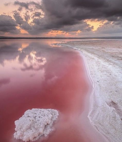 Surreal Places, Weird Places, Uninhabited Island, Pink Lake, Amazing Places On Earth, Pink Water, Clear Blue Sky, Forest Park, Places On Earth