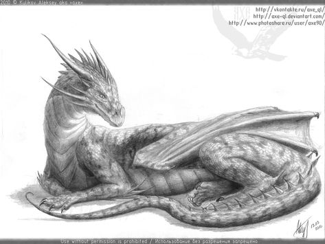 Dragon Laying Down Drawing, Dragon Laying Down, Tattoos Dragon, Drawing Dragon, Bookish Tattoos, Dragon Dreaming, Village Green, Dragon Sketch, Beautiful Dragon