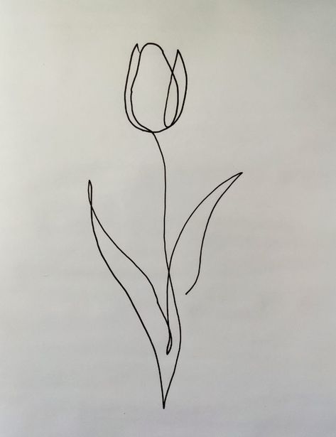 Tulip Outline Tattoo, Tulip Arm Tattoo, Line Drawing Tulip, Fine Line Tulip Tattoo, Tulip Outline, Tattoo Tulip, Line Drawing Tattoos, Tulip Drawing, Tulip Tattoo