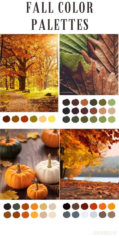 Explore rich fall color schemes and stunning colour palettes perfect for autumn fashion and home decor. Discover the best color palette design ideas to bring warmth and style to any space! #fallcolorschemes #autumncolorpalette #deepautumncolorpalette #autumnaestheticpalette Color Schemes Autumn, Autumn Color Palette Home Decor, Light Fall Color Palette, Fall 2024 Color Palette, Fall Aesthetic Colors, Fall Autumn Color Palette, Seasons Color Palette, Autumn Color Combinations, Autumn Colors Palette