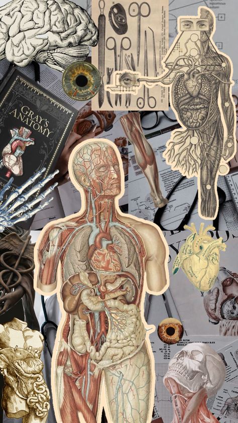 Pre-Med inspiration board #premed #premedicine #medicine #doctor #doctoraesthetic Vintage Medical Art, Nurse Aesthetic, Medical Student Motivation, Med School Motivation, Medical Wallpaper, Biology Art, Medical School Inspiration, Medicine Student, Aesthetic Medicine