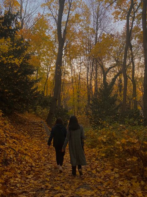 Forest In Autumn Aesthetic, Fall Forest Aesthetic, Autumn Forest Aesthetic, Autumn Photography Ideas, Forest Outfits, Europe Core, Poland Aesthetics, Poland Aesthetic, Autumnal Forest