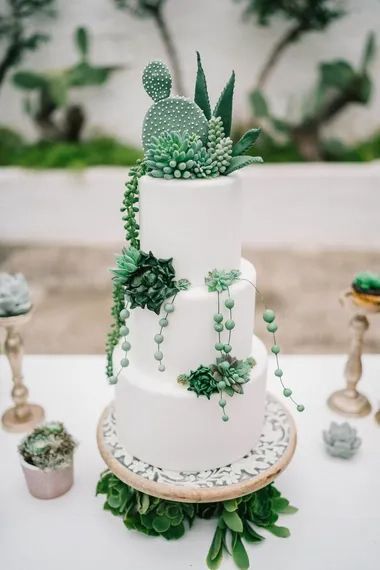 Succulent Wedding Cake, Succulent Wedding Cakes, Succulent Theme, Succulent Cake, Cactus Cake, Cactus Wedding, Floral Wedding Cakes, Themed Wedding Cakes, Simple Birthday Cake