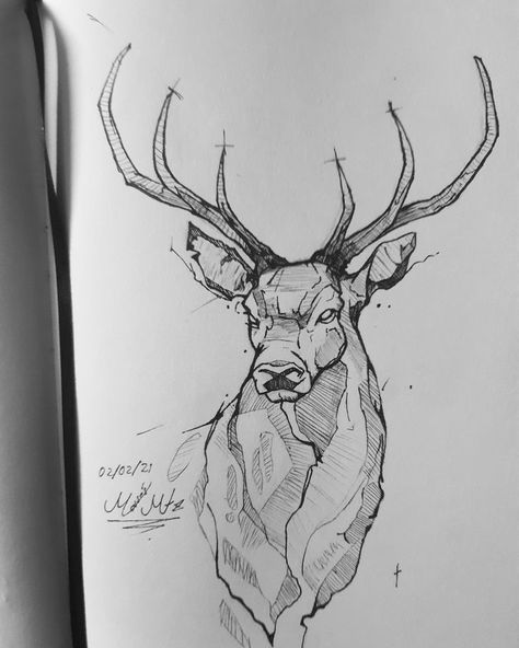 Deer Head Sketch, Elk Drawing Sketch, Deer Drawing Simple, Deer Drawing Sketches, Stag Sketch, Elk Sketch, Stag Drawing, Sketch Pen Art, Deer Sketch