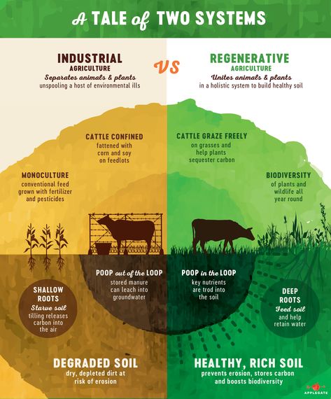 Green Revolution Poster Drawing, Regenative Agriculture, Agro Forestry, Home Agriculture Ideas, Farming Tips, Regenerative Farming, Farming Ideas Agriculture, Agriculture Facts, History Of Agriculture